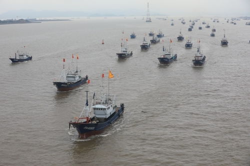 普陀 海上糾紛結(jié)案率100%的秘訣——以航空國(guó)際貨運(yùn)代理為紐帶，構(gòu)建多元高效解紛新格局