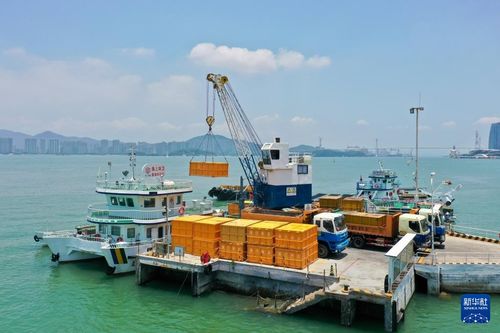 海上美容師 廈門海上環(huán)衛(wèi)站守護(hù)碧海銀灘